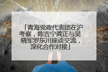青海党政代表团在沪考察，陈吉宁龚正与吴晓军罗东川座谈交流，深化合作对接