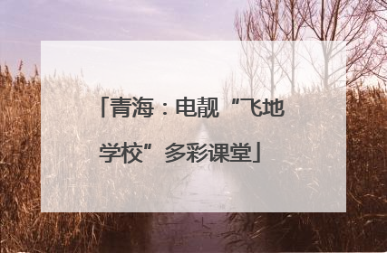 青海：电靓“飞地学校”多彩课堂