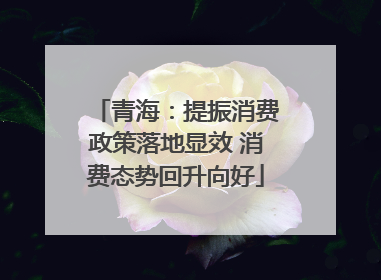 青海：提振消费政策落地显效 消费态势回升向好