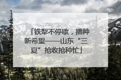 铁犁不停歇，播种新希望——山东“三夏”抢收抢种忙