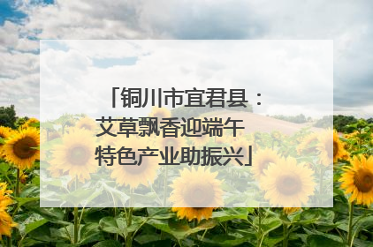铜川市宜君县：艾草飘香迎端午 特色产业助振兴