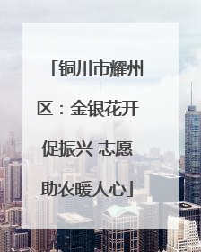 铜川市耀州区：金银花开促振兴 志愿助农暖人心