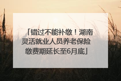 错过不能补缴！湖南灵活就业人员养老保险缴费期延长至6月底