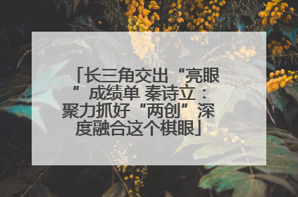 长三角交出“亮眼”成绩单 秦诗立：聚力抓好“两创”深度融合这个棋眼