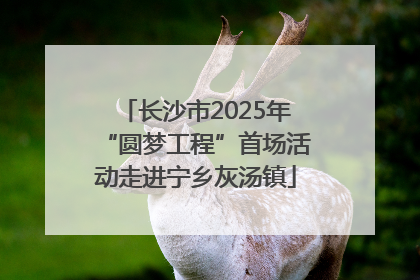 长沙市2025年“圆梦工程”首场活动走进宁乡灰汤镇