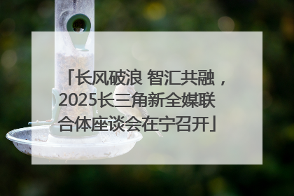 长风破浪 智汇共融，2025长三角新全媒联合体座谈会在宁召开