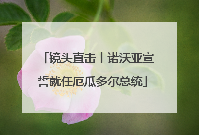 镜头直击丨诺沃亚宣誓就任厄瓜多尔总统