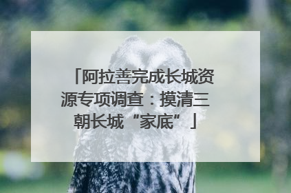 阿拉善完成长城资源专项调查：摸清三朝长城“家底”