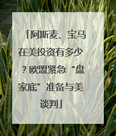 阿斯麦、宝马在美投资有多少？欧盟紧急“盘家底”准备与美谈判