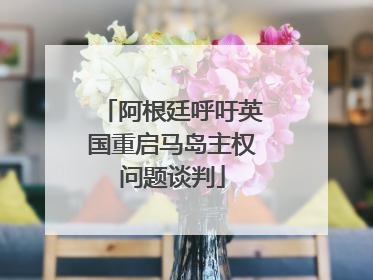 阿根廷呼吁英国重启马岛主权问题谈判