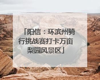阳信：环滨州骑行挑战赛打卡万亩梨园风景区