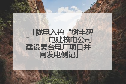陇电入鲁“树丰碑”——电建核电公司建设灵台电厂项目并网发电侧记