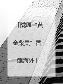 陇原“黄金浆果”香飘海外