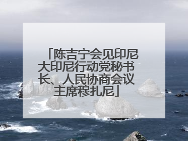 陈吉宁会见印尼大印尼行动党秘书长、人民协商会议主席穆扎尼