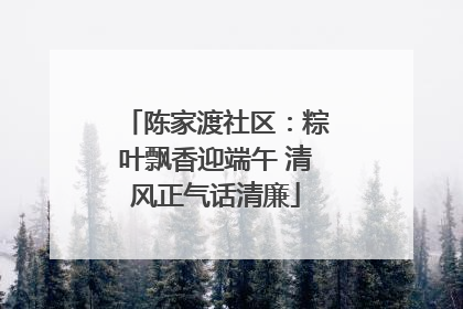陈家渡社区：粽叶飘香迎端午 清风正气话清廉
