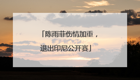 陈雨菲伤情加重，退出印尼公开赛