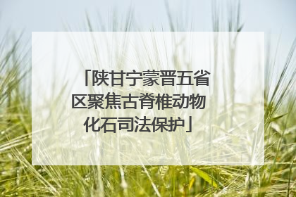 陕甘宁蒙晋五省区聚焦古脊椎动物化石司法保护
