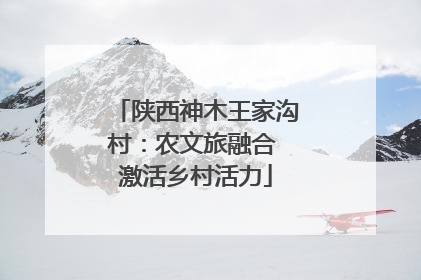 陕西神木王家沟村：农文旅融合 激活乡村活力