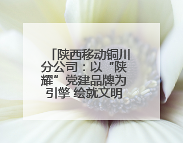 陕西移动铜川分公司：以“陕耀”党建品牌为引擎 绘就文明单位创建新画卷——全国文明单位创建纪实