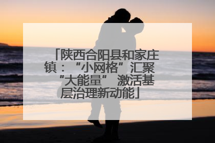 陕西合阳县和家庄镇：“小网格”汇聚“大能量” 激活基层治理新动能