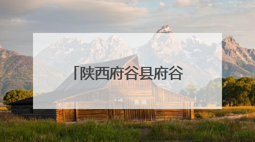 陕西府谷县府谷镇高梁村：乡货“触网出村” 农户“云端致富”