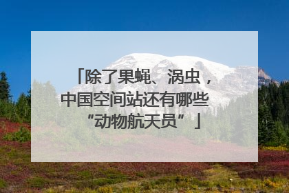 除了果蝇、涡虫，中国空间站还有哪些“动物航天员”