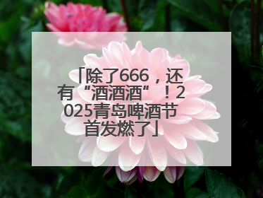 除了666，还有“酒酒酒”！2025青岛啤酒节首发燃了
