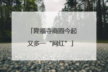隆福寺商圈今起又多一“网红”