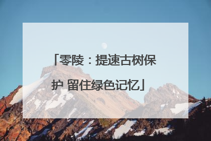 零陵：提速古树保护 留住绿色记忆