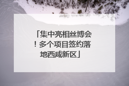 集中亮相丝博会！多个项目签约落地西咸新区