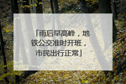 雨后早高峰，地铁公交准时开班，市民出行正常