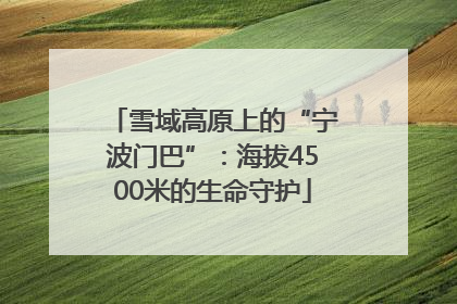 雪域高原上的“宁波门巴”：海拔4500米的生命守护