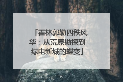 霍林郭勒四秩风华：从荒原勘探到绿电新城的蝶变