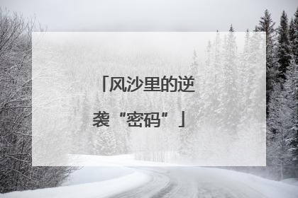 风沙里的逆袭“密码”