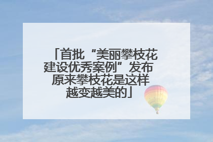 首批“美丽攀枝花建设优秀案例”发布 原来攀枝花是这样越变越美的