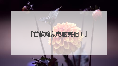 首款鸿蒙电脑亮相！