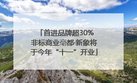 首进品牌超30% 非标商业亳都·新象将于今年“十一”开业