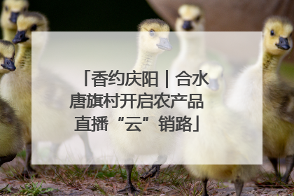香约庆阳｜合水唐旗村开启农产品直播“云”销路