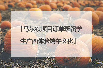 马东铁项目订单班留学生广西体验端午文化