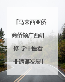 马来西亚侨商侨领广西研修 学中医看非遗谋发展