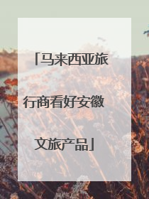 马来西亚旅行商看好安徽文旅产品