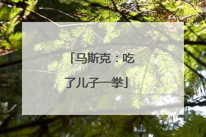 马斯克：吃了儿子一拳