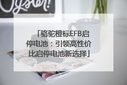 骆驼橙标EFB启停电池：引领高性价比启停电池新选择