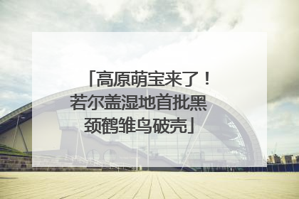高原萌宝来了！若尔盖湿地首批黑颈鹤雏鸟破壳