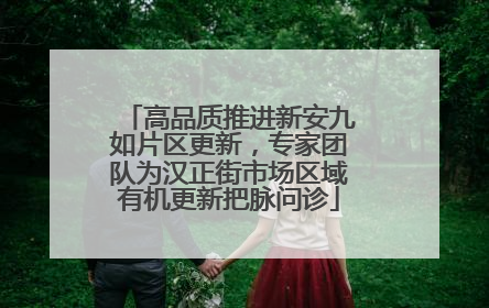 高品质推进新安九如片区更新，专家团队为汉正街市场区域有机更新把脉问诊