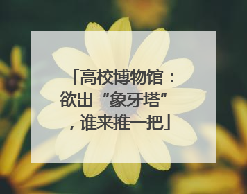 高校博物馆：欲出“象牙塔”，谁来推一把