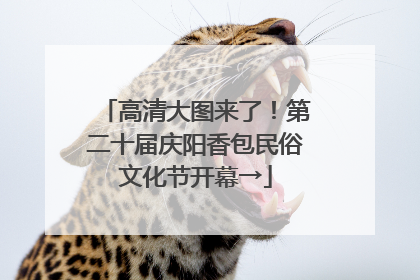 高清大图来了！第二十届庆阳香包民俗文化节开幕→