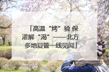 高温“烤”验 保灌解“渴”——北方多地夏管一线见闻