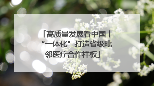 高质量发展看中国丨“一体化”打造省级毗邻医疗合作样板