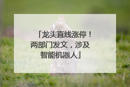 龙头直线涨停！两部门发文，涉及智能机器人